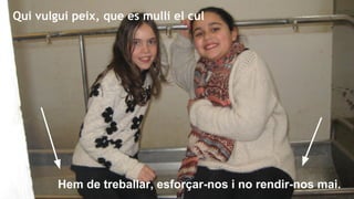 Qui vulgui peix, que es mulli el cul

Hem de treballar, esforçar-nos i no rendir-nos mai.

 