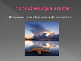  Cerques coses i no les trobes i resulta que les tens molt aprop.
 