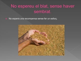  No esperis una recompensa sense fer un esforç.
 