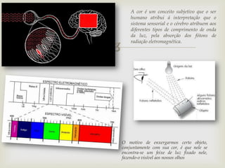 
A cor é um conceito subjetivo que o ser
humano atribui á interpretação que o
sistema sensorial e o cérebro atribuem aos
diferentes tipos de comprimento de onda
da luz, pela absorção dos fótons de
radiação eletromagnética.
O motivo de enxergarmos certo objeto,
conjuntamente com sua cor, é que nele se
encontra-se um feixe de luz fixado nele,
fazendo-o visível aos nossos olhos
 