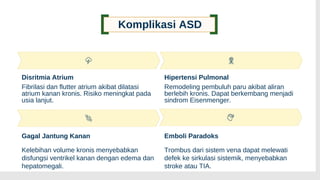 Komplikasi ASD
Disritmia Atrium
Fibrilasi dan flutter atrium akibat dilatasi
atrium kanan kronis. Risiko meningkat pada
usia lanjut.
Hipertensi Pulmonal
Remodeling pembuluh paru akibat aliran
berlebih kronis. Dapat berkembang menjadi
sindrom Eisenmenger.
Gagal Jantung Kanan
Kelebihan volume kronis menyebabkan
disfungsi ventrikel kanan dengan edema dan
hepatomegali.
Emboli Paradoks
Trombus dari sistem vena dapat melewati
defek ke sirkulasi sistemik, menyebabkan
stroke atau TIA.
 