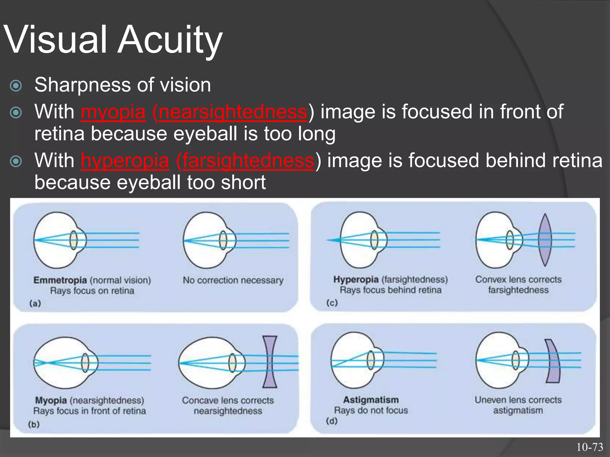 Visual Acuity
 Sharpness of vision
 With myopia (nearsightedness) image is focused in front of
retina because eyeball is too long
 With hyperopia (farsightedness) image is focused behind retina
because eyeball too short
10-73
 