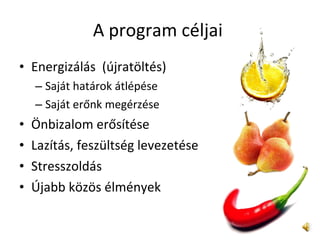 A program céljai  Energizálás  (újratöltés)  Saját határok átlépése  Saját erőnk megérzése  Önbizalom erősítése  Lazítás, feszültség levezetése  Stresszoldás  Újabb közös élmények  