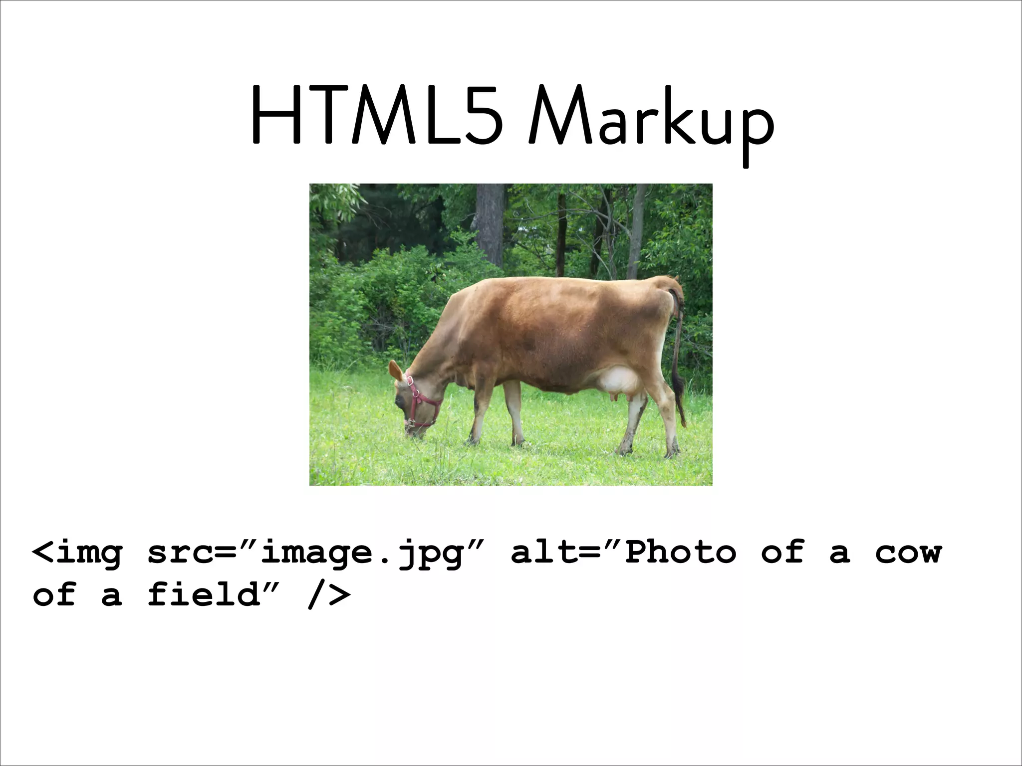 HTML5 Markup




<img src=”image.jpg” alt=”Photo of a cow
of a field” />
 