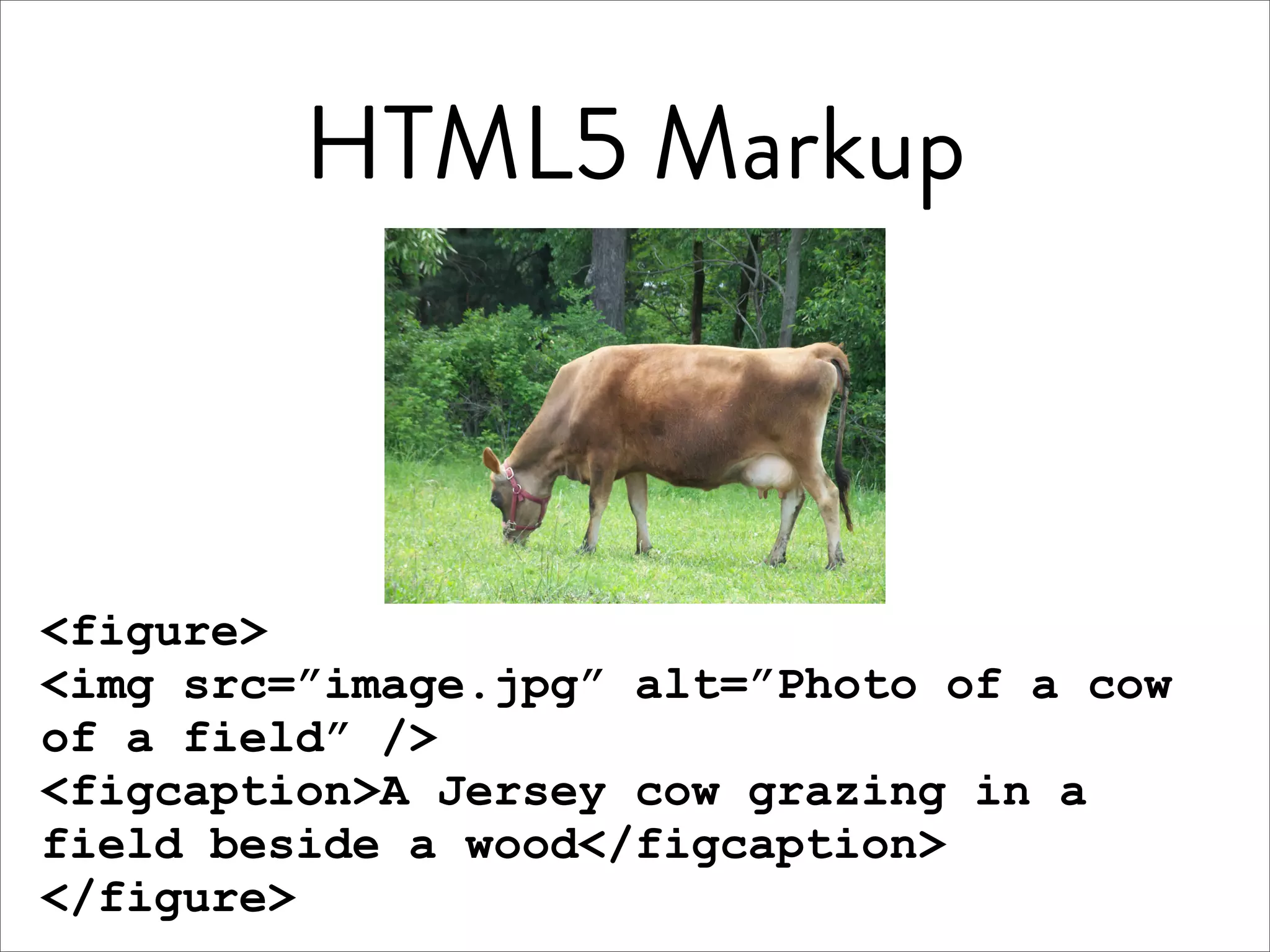 HTML5 Markup



<figure>
<img src=”image.jpg” alt=”Photo of a cow
of a field” />
<figcaption>A Jersey cow grazing in a
field beside a wood</figcaption>
</figure>
 