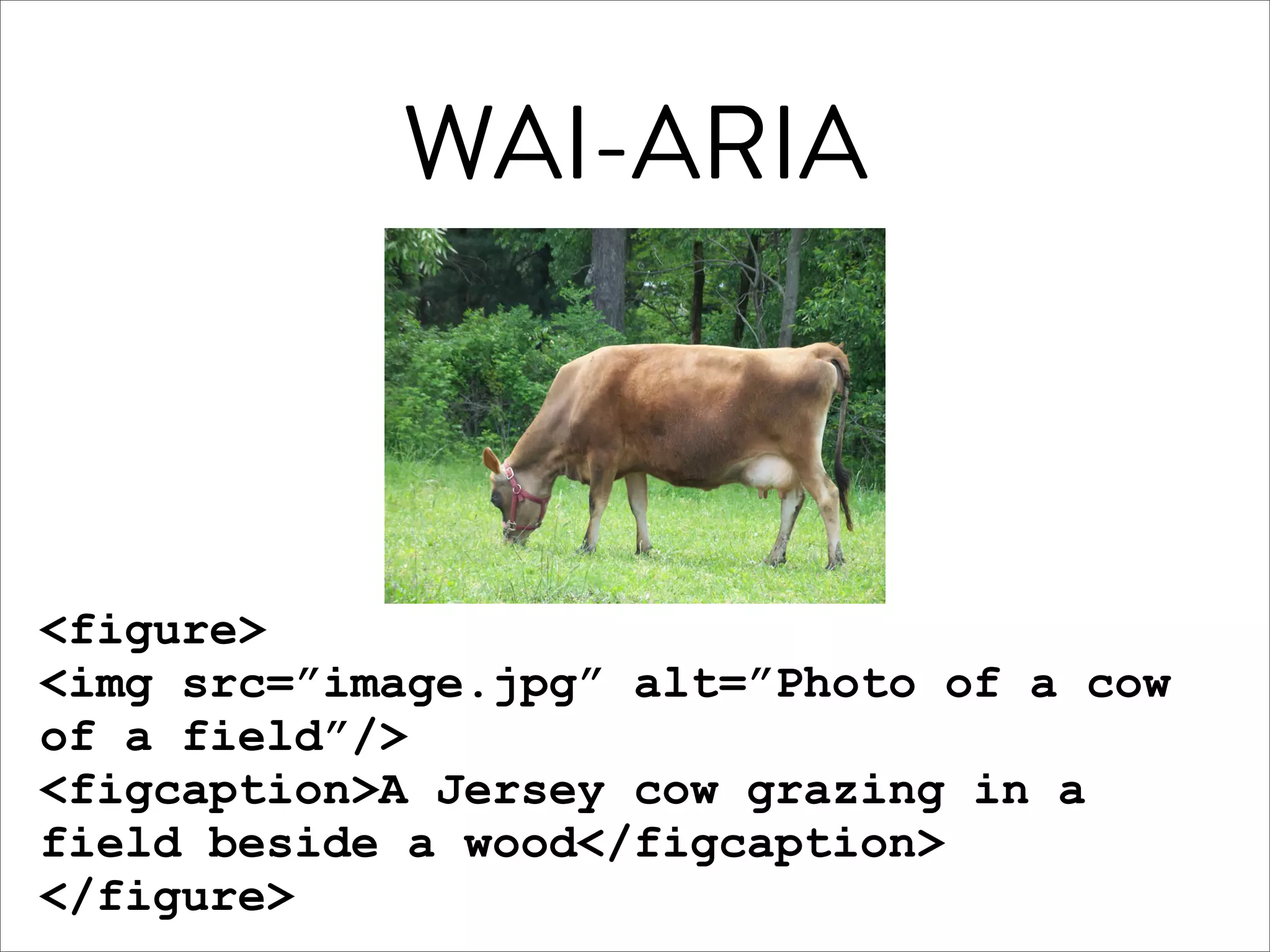 WAI-ARIA



<figure>
<img src=”image.jpg” alt=”Photo of a cow
of a field”/>
<figcaption>A Jersey cow grazing in a
field beside a wood</figcaption>
</figure>
 