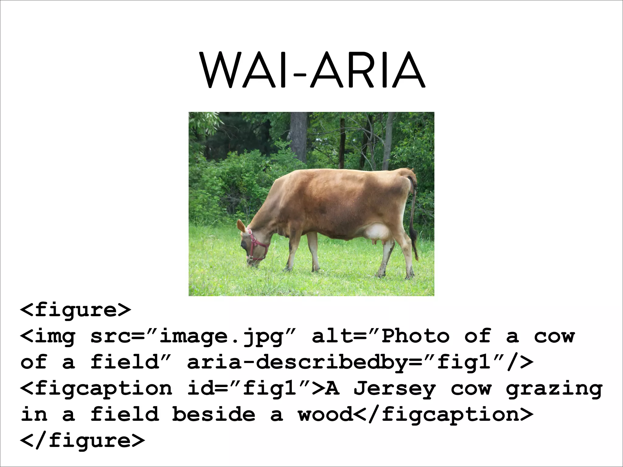 WAI-ARIA



<figure>
<img src=”image.jpg” alt=”Photo of a cow
of a field” aria-describedby=”fig1”/>
<figcaption id=”fig1”>A Jersey cow grazing
in a field beside a wood</figcaption>
</figure>
 