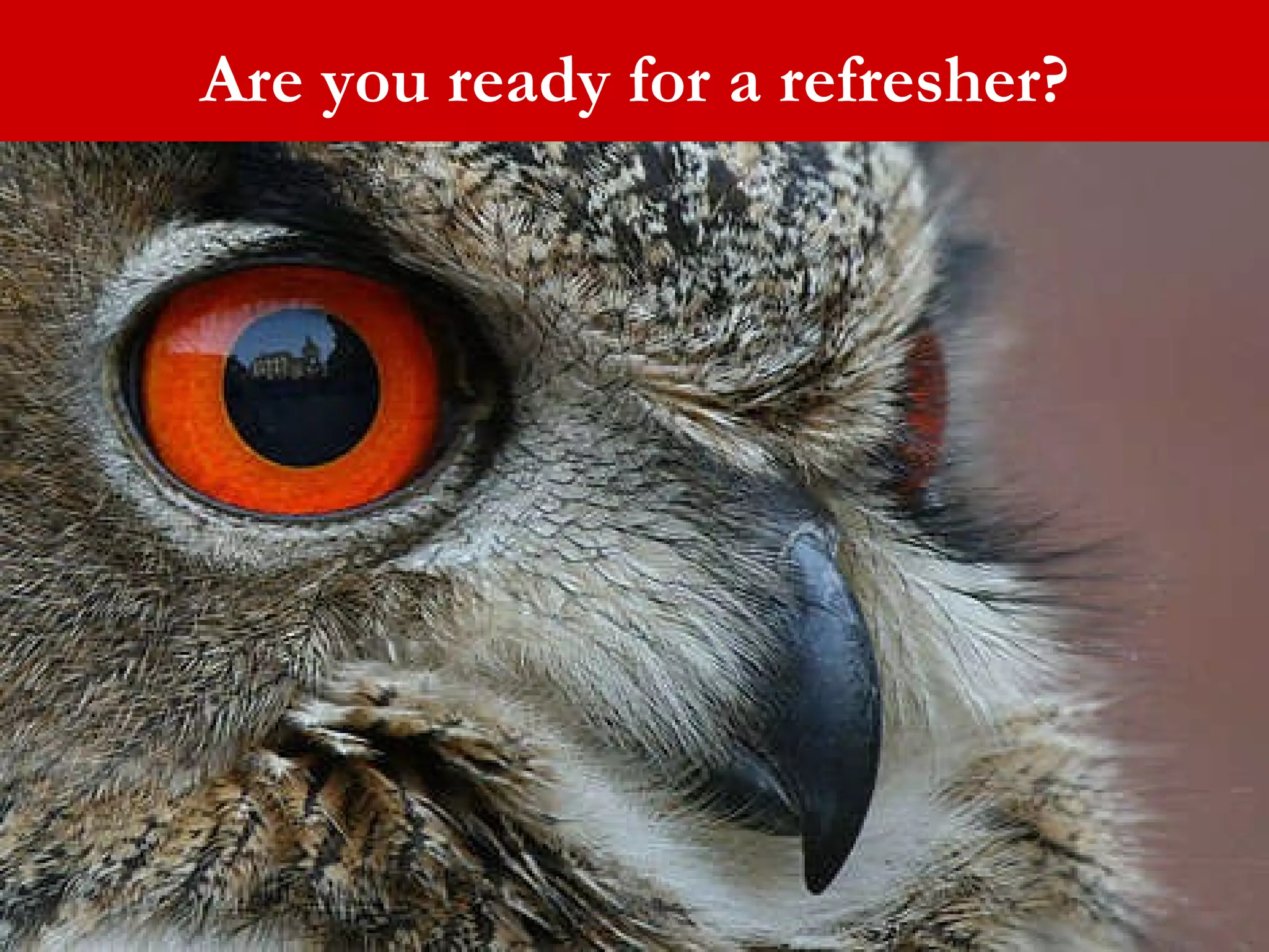 Are you ready for a refresher? 