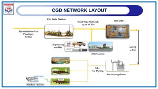 CGD NETWORK LAYOUT
 