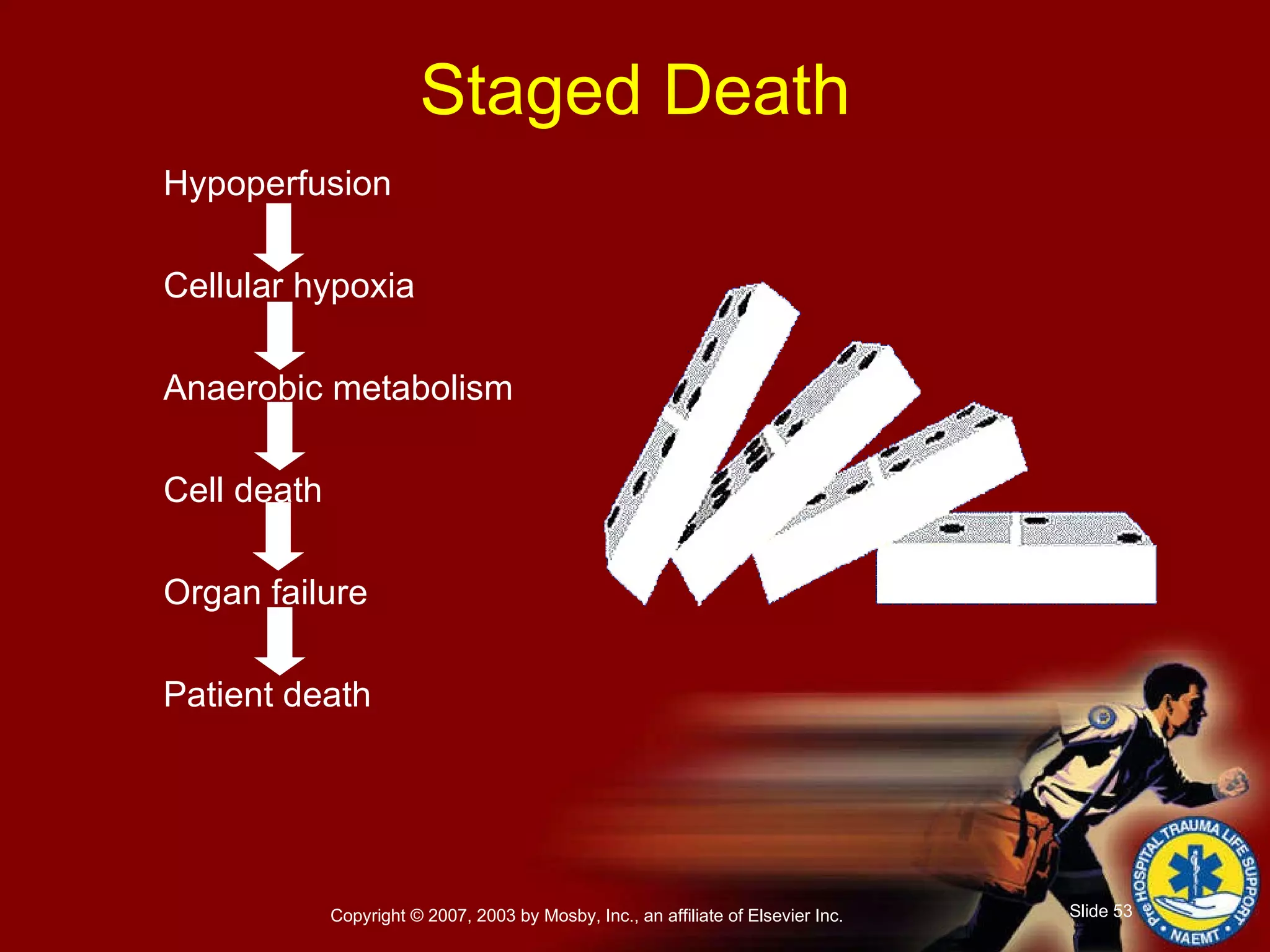 Staged Death Hypoperfusion Cellular hypoxia Anaerobic metabolism Cell death Organ failure Patient death 