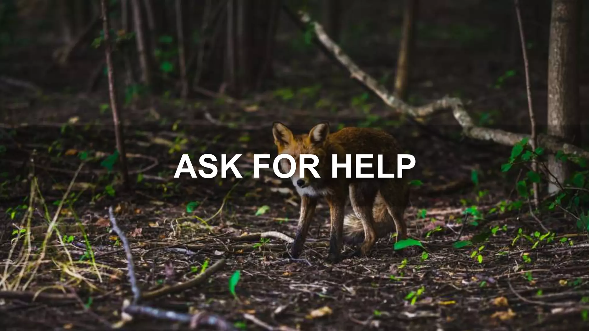 ASK FOR HELP
 