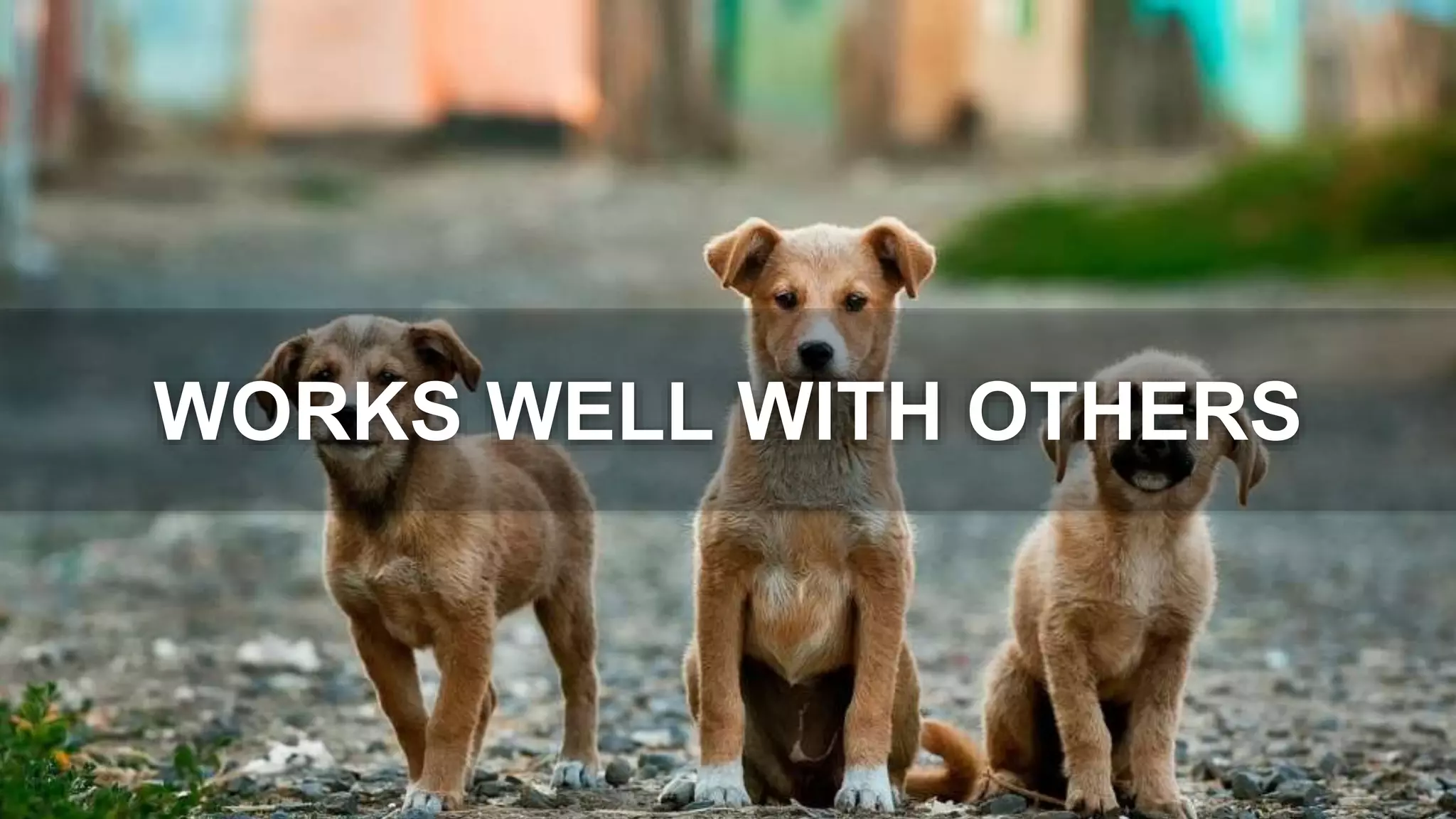 WORKS WELL WITH OTHERS
 