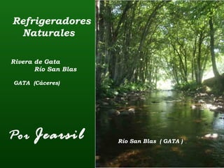 Refrigeradores
Naturales
Rivera de Gata
Río San Blas
GATA (Cáceres)

Por

Jearsil

Río San Blas ( GATA )

 