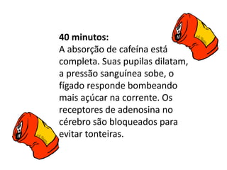 40 minutos:
A absorção de cafeína está
completa. Suas pupilas dilatam,
a pressão sanguínea sobe, o
fígado responde bombeando
mais açúcar na corrente. Os
receptores de adenosina no
cérebro são bloqueados para
evitar tonteiras.
 