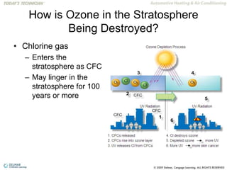 How is Ozone in the Stratosphere
Being Destroyed?
• Chlorine gas
– Enters the
stratosphere as CFC
– May linger in the
stratosphere for 100
years or more
 