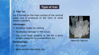 Refrigeration and Chilling.pptx