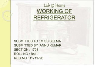 Lab @ Home
WORKING OF
REFRIGERATOR
SUBMITTED TO : MISS SEEMA
SUBMITTED BY :ANNU KUMAR
SECTION : 1708
ROLL NO : B41
REG NO : 11711796
 