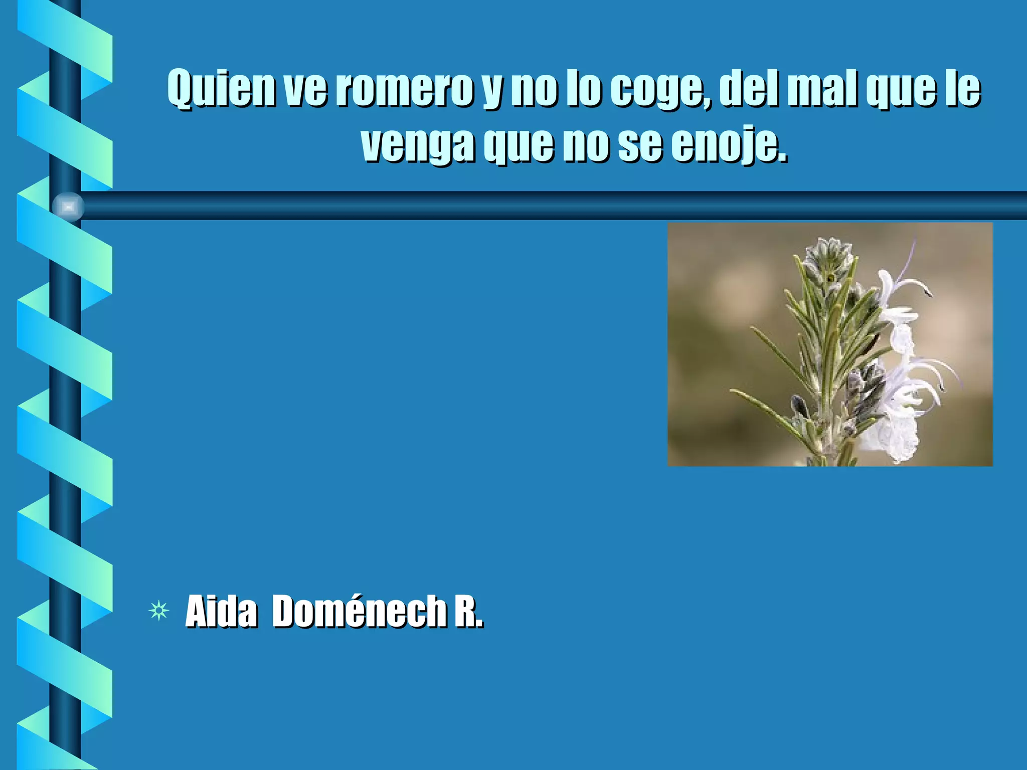 Quien ve romero y no lo coge, del mal que le venga que no se enoje. Aida Doménech R.