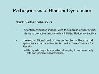 Pathogenesis of Bladder Dysfunction “ Bad” bladder behaviours   Adoption of holding manoeuvres to suppress desire to void - leads to overactive detrusor with uninhibited bladder contractions   develop volitional control over contraction of the external  sphincter - external sphincter is used as ‘on-off’ switch for  bladder    - d ifficulty relaxing sphincter when attempting to void voluntarily  (detrusor sphincter discoordination) 