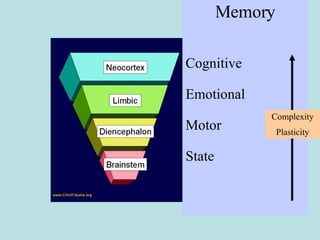 Memory Cognitive Emotional Motor State Complexity Plasticity 