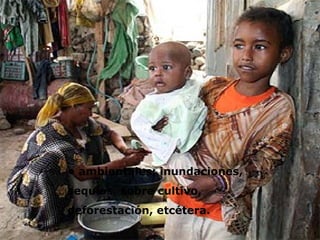 • ambientales: inundaciones, sequías, sobre cultivo, deforestación, etcétera.