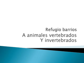 Refugio barrios A animales vertebrados Y invertebrados 