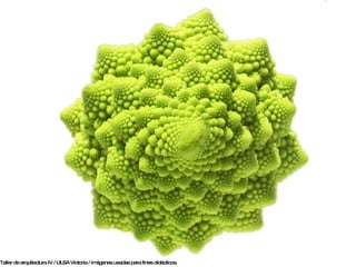 Taller de arquitectura IV / ULSA Victoria / imágenes usadas con fines didácticos.   Vivienda improvisada  construida con  material de desecho * *  Realidad   existente en cualquier país en “vías de desarrollo”, con desigualdad social y económica. 