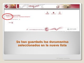Se han guardado los documentos seleccionados en la nueva lista Mª Ángeles Castañeda 