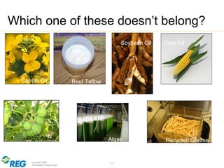Copyright 2009
Renewable Energy Group® 11
Which one of these doesn’t belong?
Canola Oil
Soybean Oil Corn Oil
Recycled GreaseAlgaeJatropha Oil
Beef Tallow
 