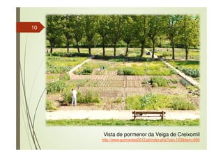10
Vista de pormenor da Veiga de Creixomil
http://www.guimaraes2012.pt/index.php?cat=123&item=660
 