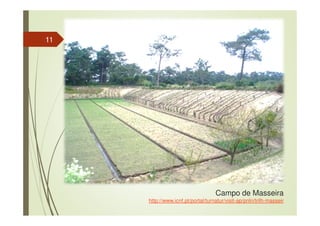 Campo de Masseira
http://www.icnf.pt/portal/turnatur/visit-ap/pnln/trilh-masseir
11
 