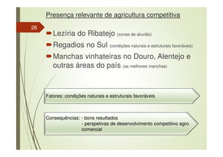Presença relevante de agricultura competitiva
Lezíria do Ribatejo (zonas de aluvião)
Regadios no Sul (condições naturais e estruturais favoráveis)
Manchas vinhateiras no Douro, Alentejo e
outras áreas do país (as melhores manchas)
Fatores: condições naturais e estruturais favoráveis
Consequências: - bons resultados
- perspetivas de desenvolvimento competitivo agro
comercial
26
 