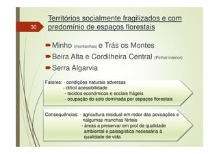 Territórios socialmente fragilizados e com
predomínio de espaços florestais
Minho (montanhas) e Trás os Montes
Beira Alta e Cordilheira Central (Pinhal interior)
Serra Algarvia
Fatores: - condições naturais adversas
- difícil acessibilidade
- tecidos económicos e sociais frágeis
- ocupação do solo dominada por espaços florestais
Consequências: - agricultura residual em redor das povoações e
nalgumas manchas férteis
- áreas a preservar em prol da qualidade
ambiental e paisagística necessária à
qualidade de vida
30
 