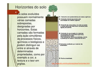 Horizontes do solo
Os solos evoluídos
possuem normalmente
várias camadas
sobrepostas,
designadas por
horizontes. Estas
camadas são formadas
pela ação simultânea
de processos físicos,
químicos e biológicos e
podem distinguir-se
entre si através de
determinadas
propriedades, como por
exemplo a cor, a
textura e o teor em
argilas. http://www.dct.uminho.pt/pnpg/gloss/horizontes.html
4
 