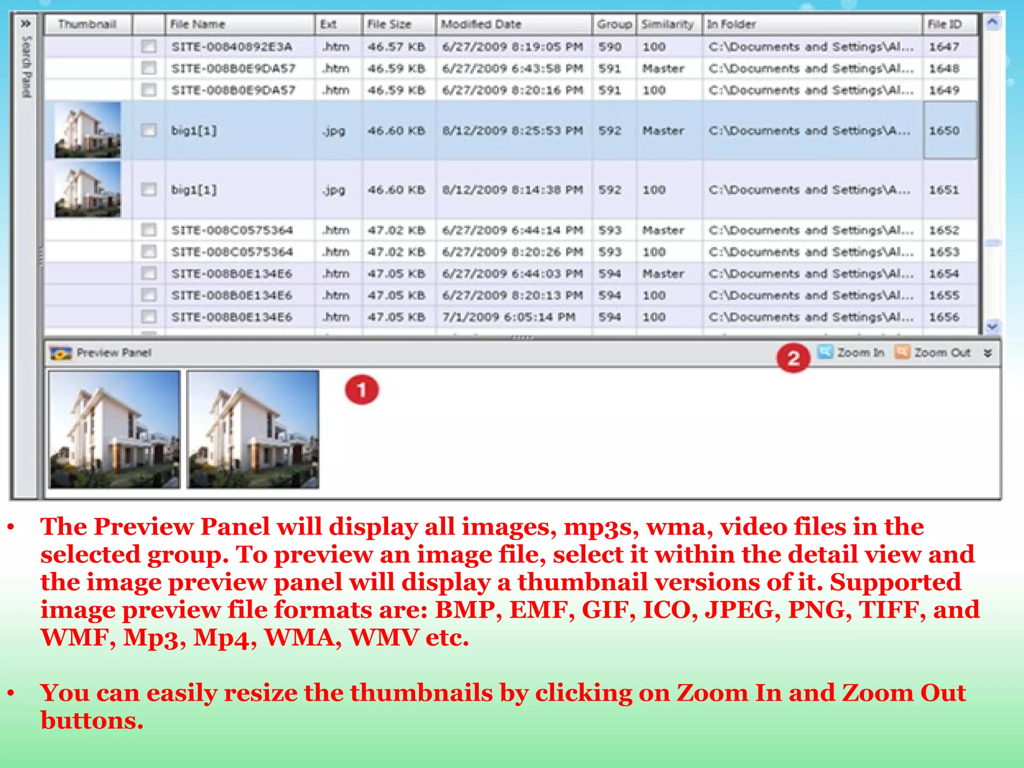 The Preview Panel will display all images, mp3s, wma, video files in the selected group. To preview an image file, select it within the detail view and the image preview panel will display a thumbnail versions of it. Supported image preview file formats are: BMP, EMF, GIF, ICO, JPEG, PNG, TIFF, and WMF, Mp3, Mp4, WMA, WMV etc.  You can easily resize the thumbnails by clicking on Zoom In and Zoom Out buttons.  