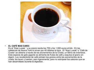 •

EL CAFÉ MAS CARO:
Es el “Kopi Luwak ” y su precio oscila los 750 y los 1.000 euros el kilo . En las
cafeterías de Nueva York lo sirven por 40 dólares la taza . El “Kopi Luwak” o “Café de
Civeta” se obtiene a través de los excrementos de la Civeta, un felino de Indonesia.
Esta especie de gato gigante se alimenta de frutos de café y expulsa el grano sin
digerir. Los recolectores de café extraen los granos entre los excrementos de la
civeta, los lavan y tuestan, pero ligeramente, para no estropear los sabores que se
han desarrollado durante la digestión.

 