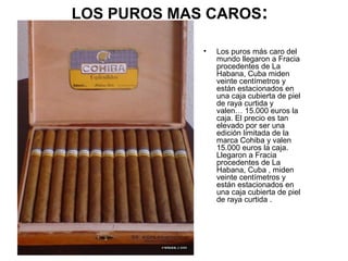 LOS PUROS MAS CAROS:
•

Los puros más caro del
mundo llegaron a Fracia
procedentes de La
Habana, Cuba miden
veinte centímetros y
están estacionados en
una caja cubierta de piel
de raya curtida y
valen… 15.000 euros la
caja. El precio es tan
elevado por ser una
edición limitada de la
marca Cohiba y valen
15.000 euros la caja.
Llegaron a Fracia
procedentes de La
Habana, Cuba , miden
veinte centímetros y
están estacionados en
una caja cubierta de piel
de raya curtida .

 