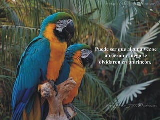 Puede ser que alguna vez se abrieron y luego se olvidaron en un rincón.  