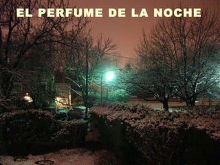 EL PERFUME DE LA NOCHE