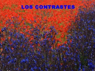 LOS CONTRASTES