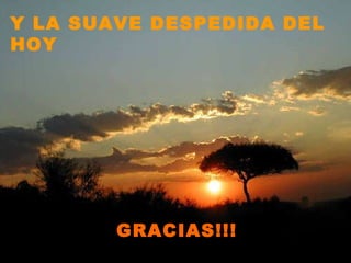 Y LA SUAVE DESPEDIDA DEL HOY GRACIAS!!!