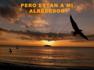 PERO ESTAN A MI ALREDEDOR