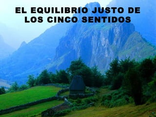 EL EQUILIBRIO JUSTO DE LOS CINCO SENTIDOS