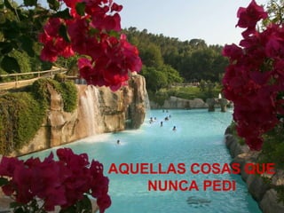 AQUELLAS COSAS QUE NUNCA PEDI