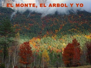 EL MONTE, EL ARBOL Y YO 