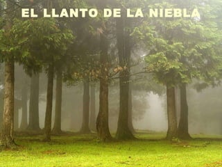 EL LLANTO DE LA NIEBLA 