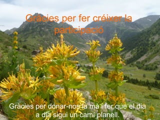 Gràcies per donar-nos la mà i fer que el dia
a dia sigui un camí planell.
Gràcies per fer créixer la
participació
 