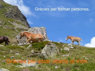 Gràcies per formar persones.
Gràcies per estar oberts al món
 
