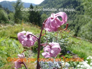 Gràcies per treballar en equip.
Gràcies per creure en l’amistat
 