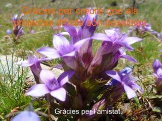 Gràcies per l’amistat.
Gràcies per creure que els
projectes difícils són possibles
 